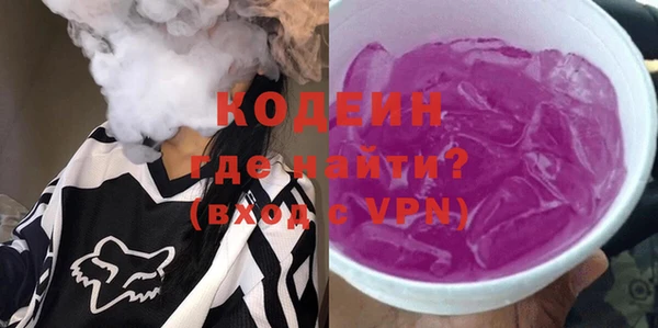 индика Абаза