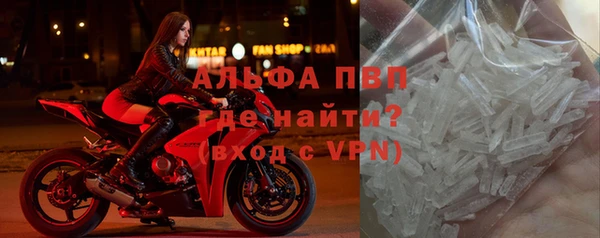 индика Абаза