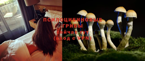 PSILOCYBIN Абдулино