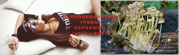 PSILOCYBIN Абдулино
