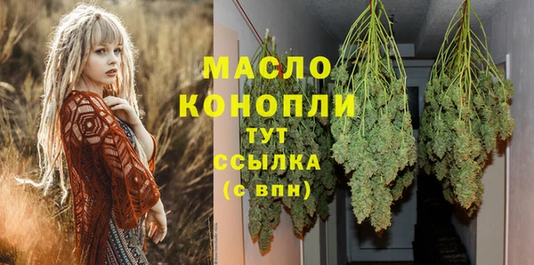 индика Абаза