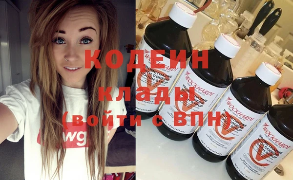 индика Абаза