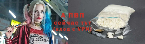 индика Абаза