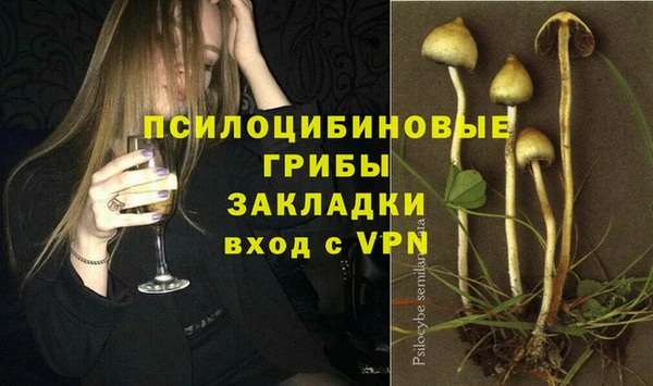 apvp Покровск