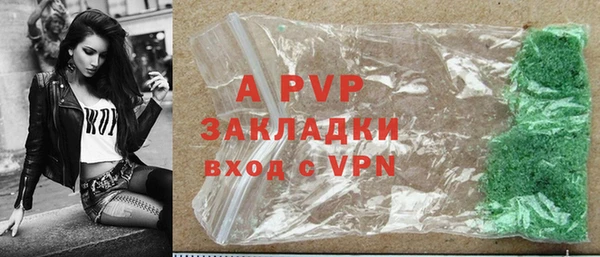 индика Абаза
