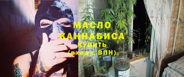 индика Абаза