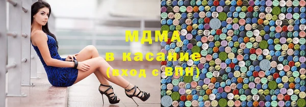 индика Абаза