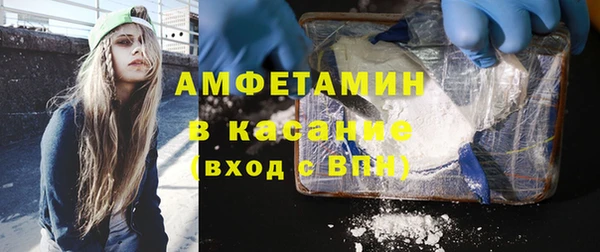 индика Абаза