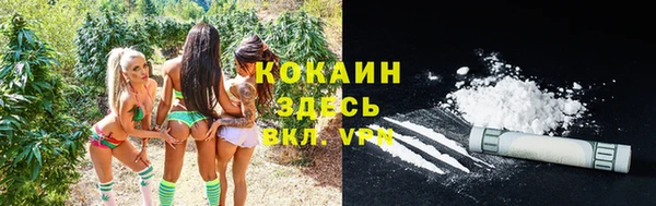 PSILOCYBIN Абдулино
