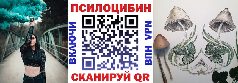Псилоцибиновые грибы мицелий Нелидово