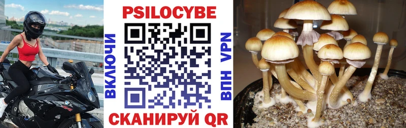 что такое   Нелидово  блэк спрут рабочий сайт  Галлюциногенные грибы MAGIC MUSHROOMS 
